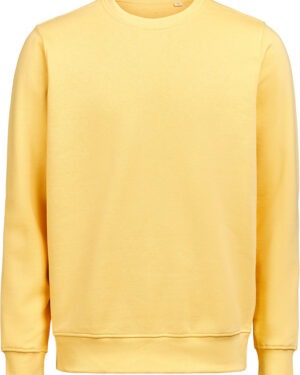 BLUZA DRESOWA CREWNECK REGULAR FIT (OCS-RCS)